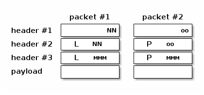 Intra- and inter-packets redundancy